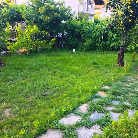 Alpin Guest House Saparewa Banja Exterior foto