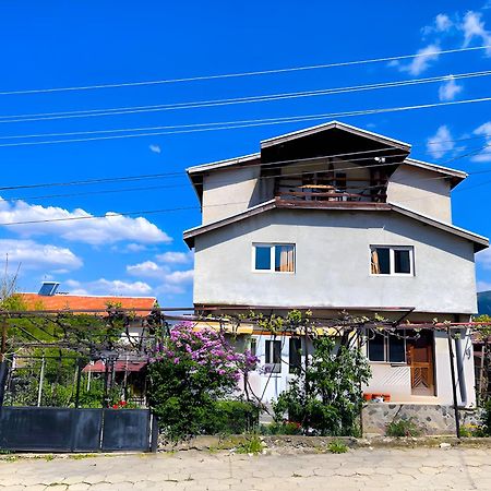 Alpin Guest House Saparewa Banja Exterior foto