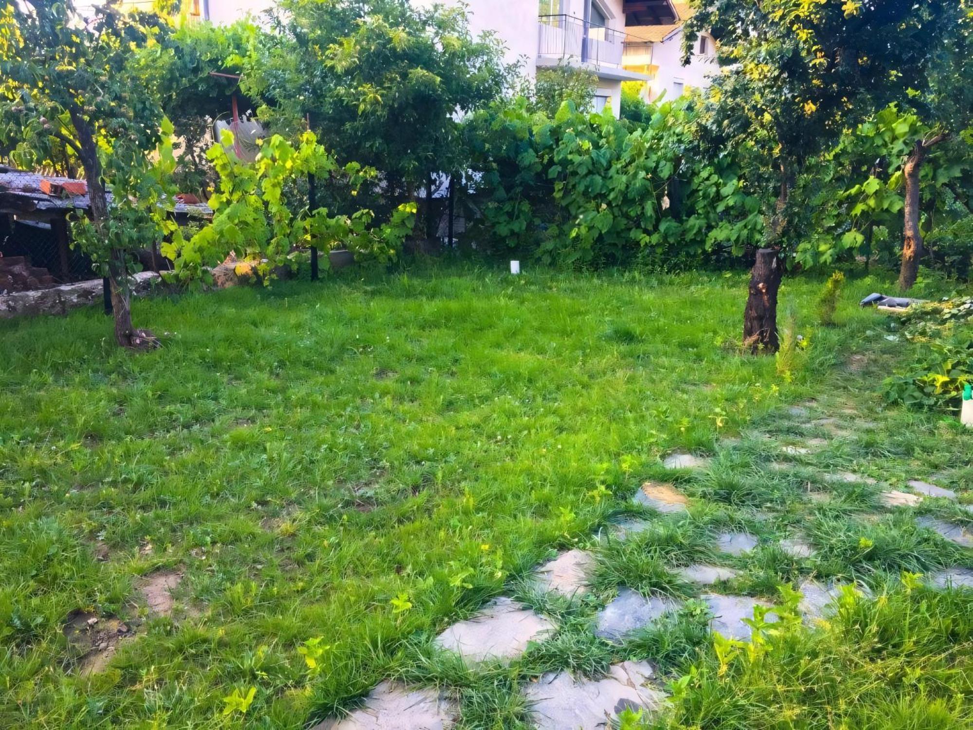 Alpin Guest House Saparewa Banja Exterior foto